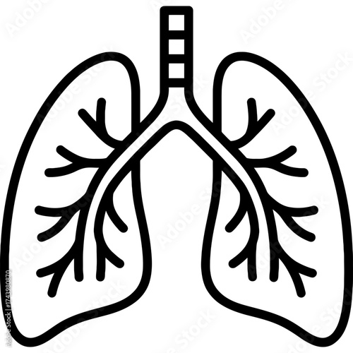 Human lungs outline icon vector