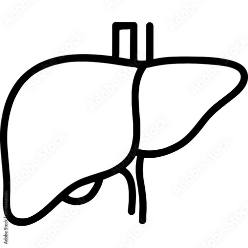 Human liver outline icon vector