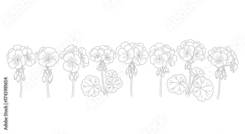 Hand drawn whiskers on a vector elements for cute animal designs vector