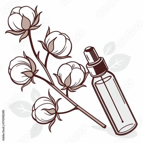 Natural cotton flower branch with dropper bottle for skincare serum or essential oil