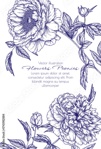 Vector illustration of a sprig of peonies. Wedding invitation template with autumn flowers. Blooming frame	