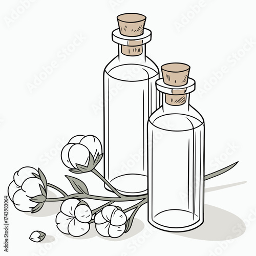 Two clear glass bottles with cork stoppers and a cotton plant branch with fluffy bolls and leaves