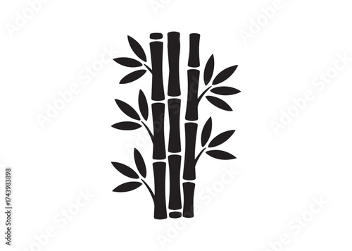 Bamboo Icon, Bamboo Solid Vector, Bamboo Design
