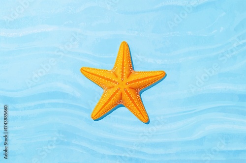 Sea star against a blue bac...