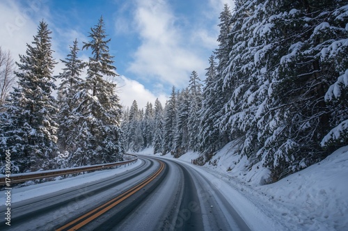 Winter season road through ...