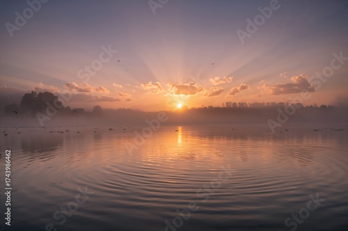Early morning mist blankets...