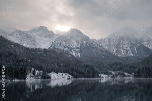 Winter landscape of snowy m...