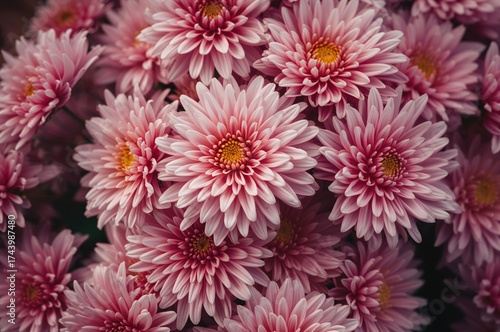 Detailed view of multiple c...
