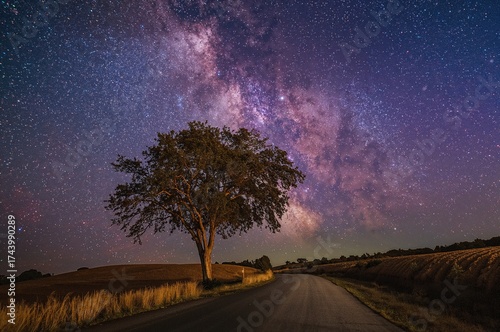 Celestial bodies shining in...