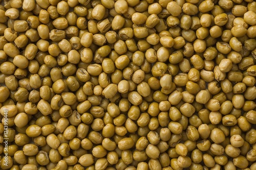 Close-up of soybean for pat...