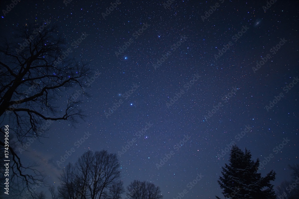 Naklejka premium Celestial light shining above the forest