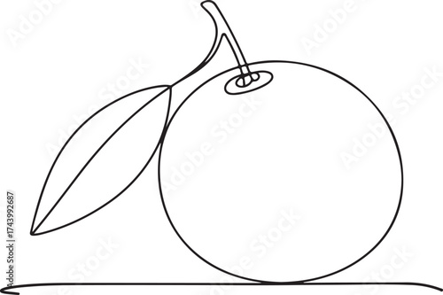 Orange Fruit One Line Drawing  Minimal Continuous Line Art Vector Illustration