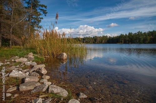 A tranquil summer scene of ...