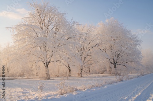 Bright winter afternoon wit...