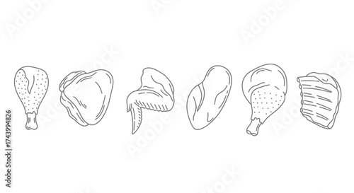 Collection of hand drawn chicken pieces ready for cooking or serving food illustration vector