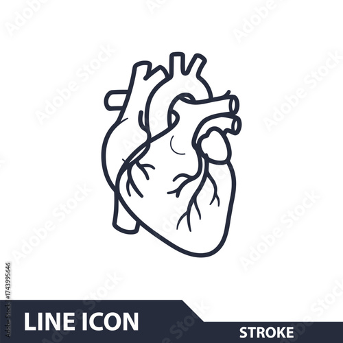 Anatomical heart line icon, showcasing the intricate structure and vital function of the organ