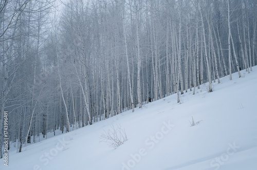 Snow-covered hillside surro...