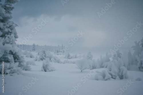 Winter blizzard causing poo...