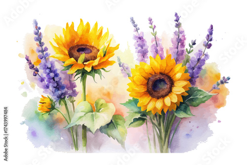 Sunflower and Lavender Watercolor Summer Bouquet  vector illustration 
