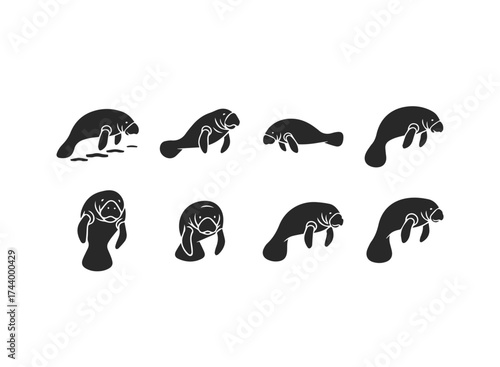 Set of Manatee Silhouettes in Various Poses.