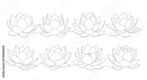 Set of eight outline lotus flowers for elegant floral designs and botanical art vector