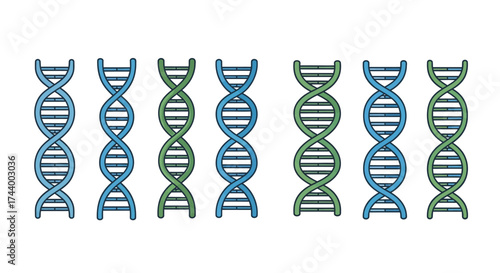 Multiple dna double helix strands representing genetics and biological science research vector