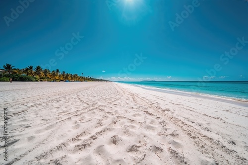 Beautiful shoreline with br...