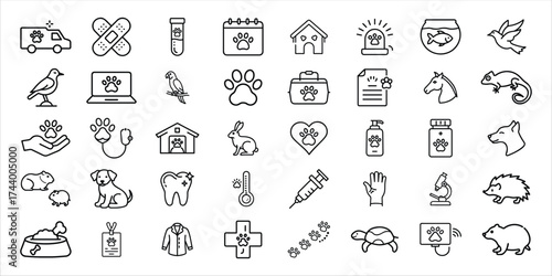 Collection of hand drawn veterinary icons and symbols for pet care