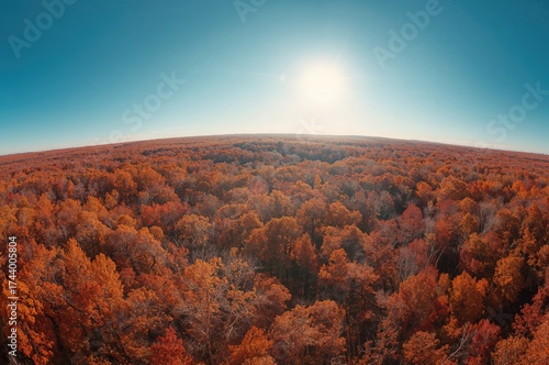 Bright Wide-Angle View of T...
