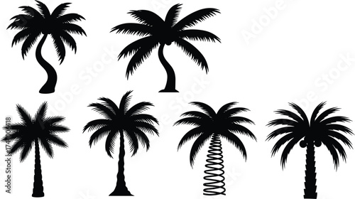 Palm tree silhouettes, tropical plant vector, exotic foliage design, decorative nature icons, black botanical illustration, beach landscape elements, summer jungle artwork