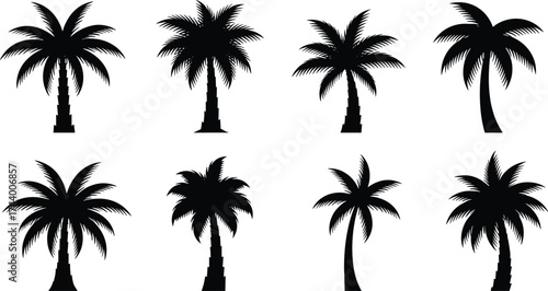 Palm tree silhouettes, tropical plant vector, exotic foliage designs, decorative nature icons, black botanical illustration, beach landscape elements, summer paradise jungle artwork
