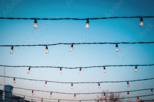 String lights with bulbs ha...