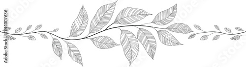 Elegant black and white line drawing of ornamental leaf branch, botanical decorative element for design, border, or nature illustration