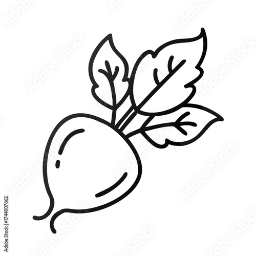 Radish illustration with green leaves in simple line art style for Oktoberfest concept