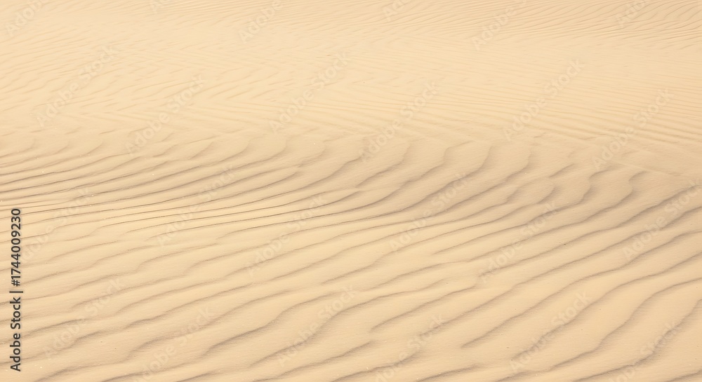 Obraz premium Desert sand patterns