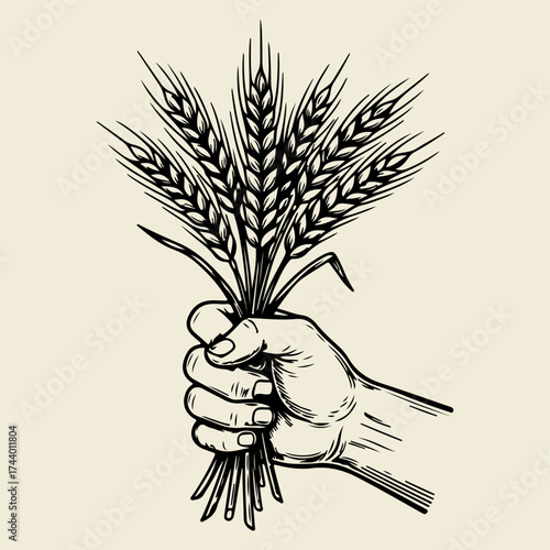 A hand-drawn illustration of a hand firmly grasping a bundle of wheat stalks, depicted in a vintage, woodcut style.