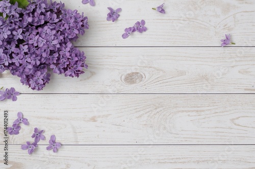 Seasonal blooms. Purple lil...