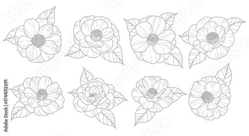 Delicate hand-drawn flower arrangements with subtle leaf details perfect for design elements vector