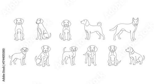 Collection of stylized line drawings depicting various dog breeds in different poses vector