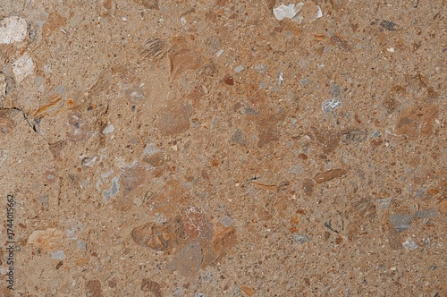 Close-up of sliced stone su...