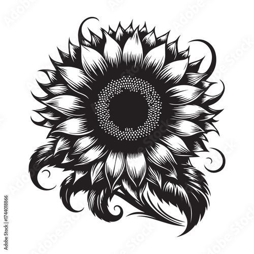 sun flower