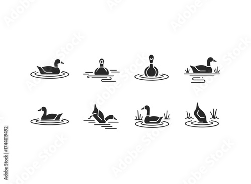 Set of Duck Icons in Water.