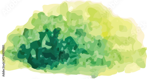 watercolor moss illustration vector hand drawn