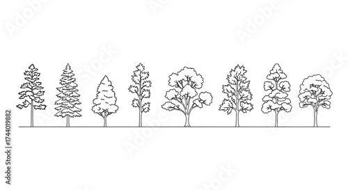 Hand drawn collection of various pine and deciduous trees in sketchy style vector