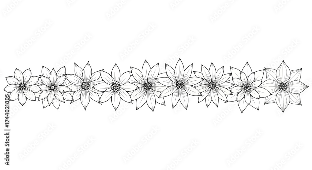 custom made wallpaper toronto digitalElegant hand drawn floral border seamless pattern of delicate daisy flowers in monochrome vector