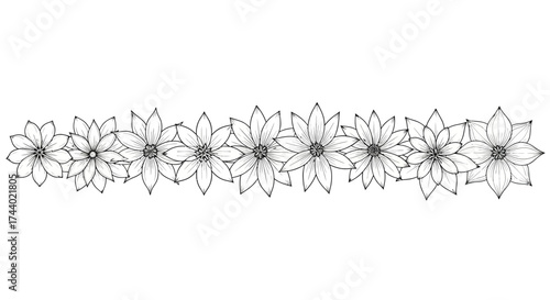 Elegant hand drawn floral border seamless pattern of delicate daisy flowers in monochrome vector