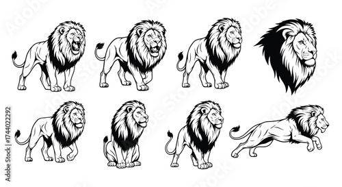 Majestic lion collection diverse poses and expressions regal king of beasts graphic vector