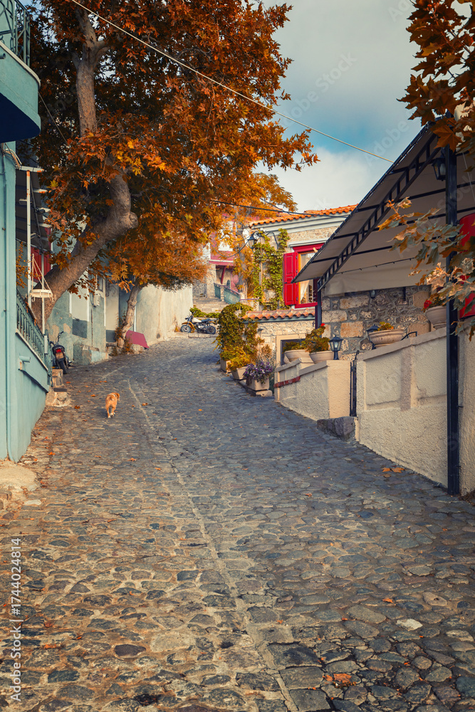 Fototapeta premium Urocza brukowana ulica i kamienne domy w malowniczej wiosce Molivos na greckiej wyspie Lesbos, greckie podróże
