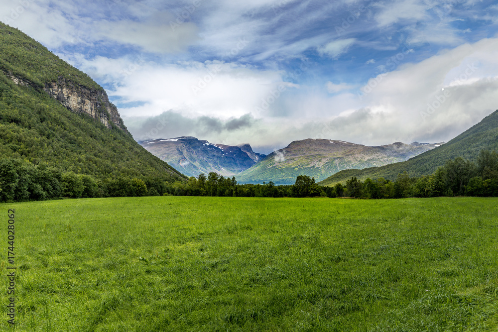 Obraz premium Colorful landscape in the north of Norway with green grass and mountains