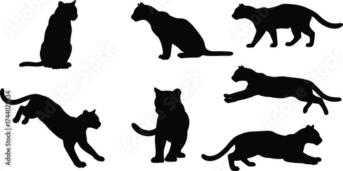 Black cat silhouettes collection, sitting walking running jumping feline poses, domestic pet animal vector set, minimalist design, cad drawing flat vector illustration
